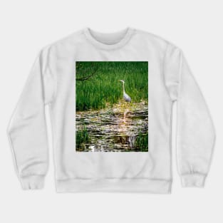 Blue Heron Crewneck Sweatshirt